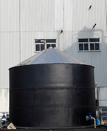 Biogas Buffer